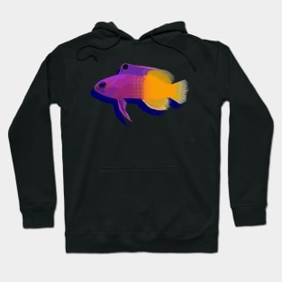 COLORFUL CORAL REEF FISH Hoodie